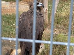 -上方山森林动物世界