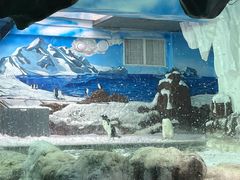 -长沙海底世界