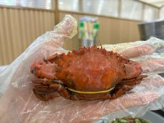-仙螺岛海鲜自助餐厅(总店)
