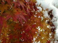 -徐州老菜馆(中枢街店)