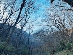 -皇藏峪国家森林公园