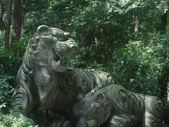 -虎跑公园