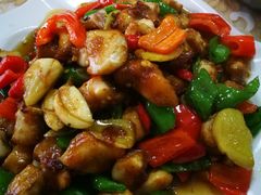 -煲来饱去冷水鱼