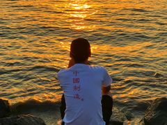 -宝安西湾红树林湿地公园