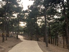 -鬼笑石后山停车场