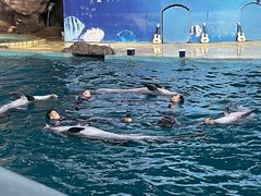 -杭州长乔极地海洋公园