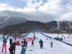 -亚布力新体委滑雪场