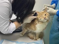 -达爱动物医院·犬猫分区·CT·复杂眼科(远洋山水分院)