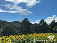 -名花谷生态庄园