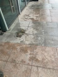 -HEYAN长风荷妍专业脱毛美肤
