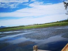 -野鸭湖国家湿地公园