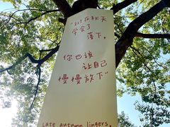 -徽园