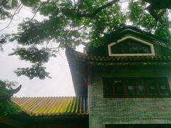 -顺峰山公园