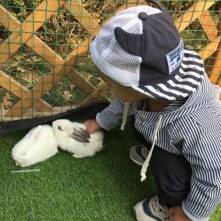 -萌宠亲子动物乐园(槐房万达店)