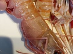 新西兰鳌虾-Mr·Fish鱼鲜生海鲜放题(银泰in99店)