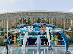 -海合安成都极地海洋公园