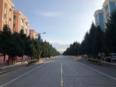 -煲来饱去冷水鱼