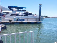 -日照世帆赛基地