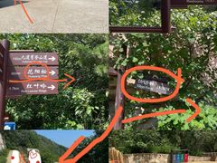 -北京西山国家森林公园