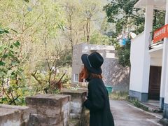 -秦岭风景区