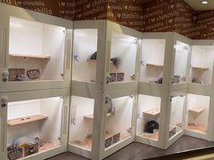 -龙猫仔乐园(惠福东路店)