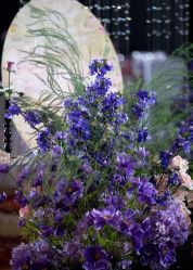 -无锡君来洲际酒店·宴会厅