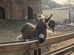 -HERRE·FARM 赫尔露营农场·团建聚会包场