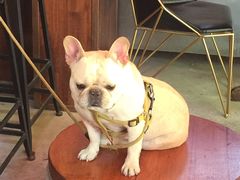 -老味道(田子坊店)