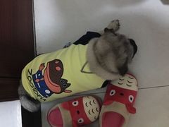 -Fan!烤肉饭(王府·星mall店)