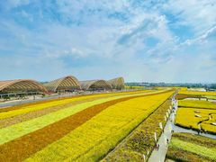 -中国天府农业博览园