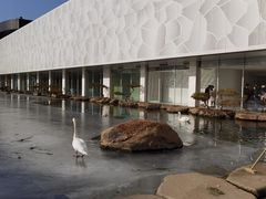 -罗红摄影艺术馆