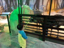 -酷嗒动物文化乐园(cutezoo西溪乐天城店)