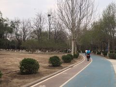 -太阳宫公园