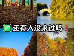 -上海海湾国家森林公园