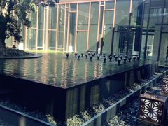 -上海崇明金茂凯悦酒店