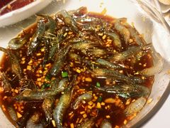 -华盛丰温州大排档(东三环南路店)