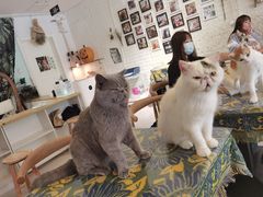 -平行世界·猫咖(首经贸店)