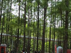-帽儿山风景区