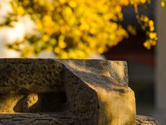 -北京石刻艺术博物馆(五塔寺)
