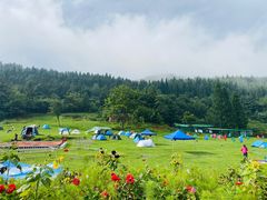 -武陵山森林公园