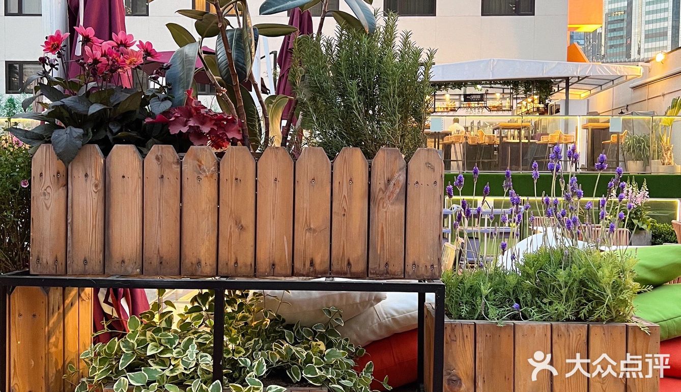北京最适合约会的浪漫🌹露台花园餐吧—Saam Bistro 