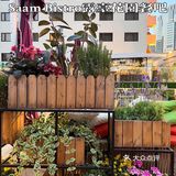 北京最适合约会的浪漫🌹露台花园餐吧—Saam Bistro 