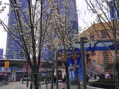 -东方明珠广播电视塔