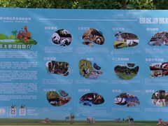 -泉州海丝野生动物世界