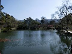 -西湖外事游船(花港观鱼码头)