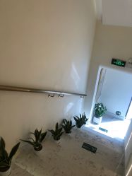 -海涛医疗美容·面部抗衰·注射美鼻