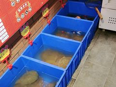 -状元甲·湖北甲鱼大王(汉口火车站店)