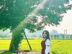 -艾米稻香小镇