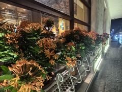 -广州白天鹅宾馆