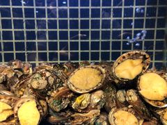 -必点海鲜·鲅鱼水饺(鞍山西道店)